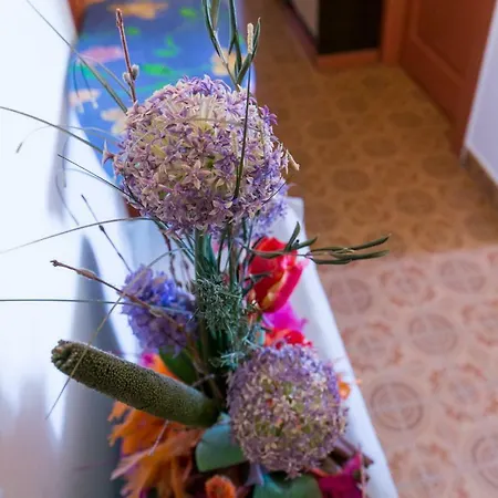 Appartement Zora Split
